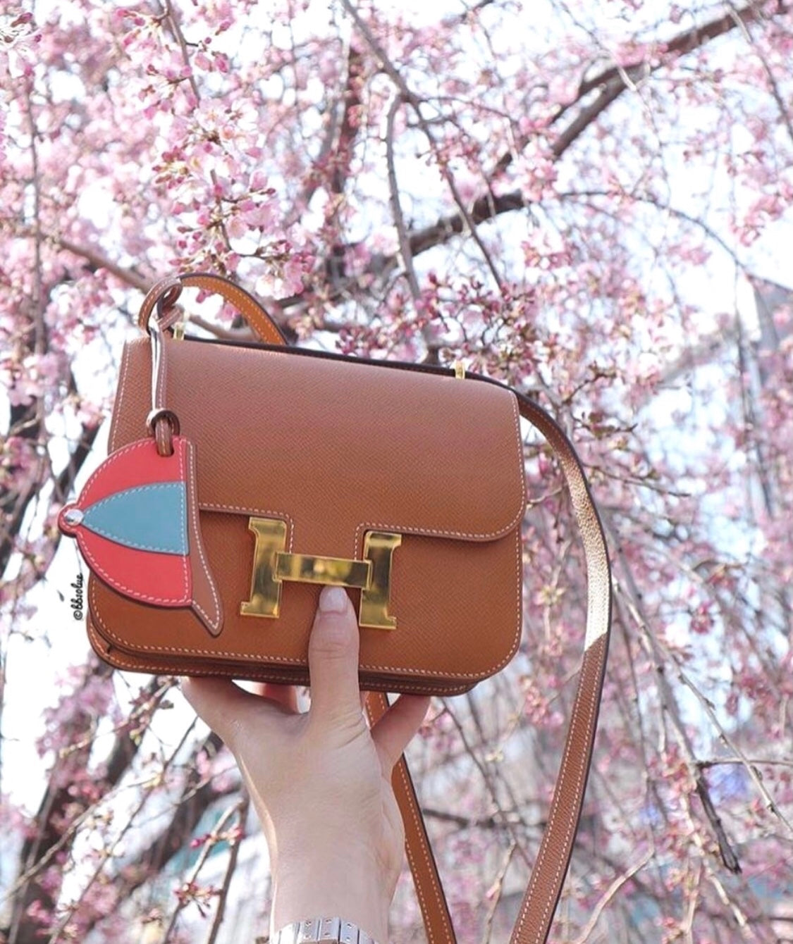 Constance 18 Bag