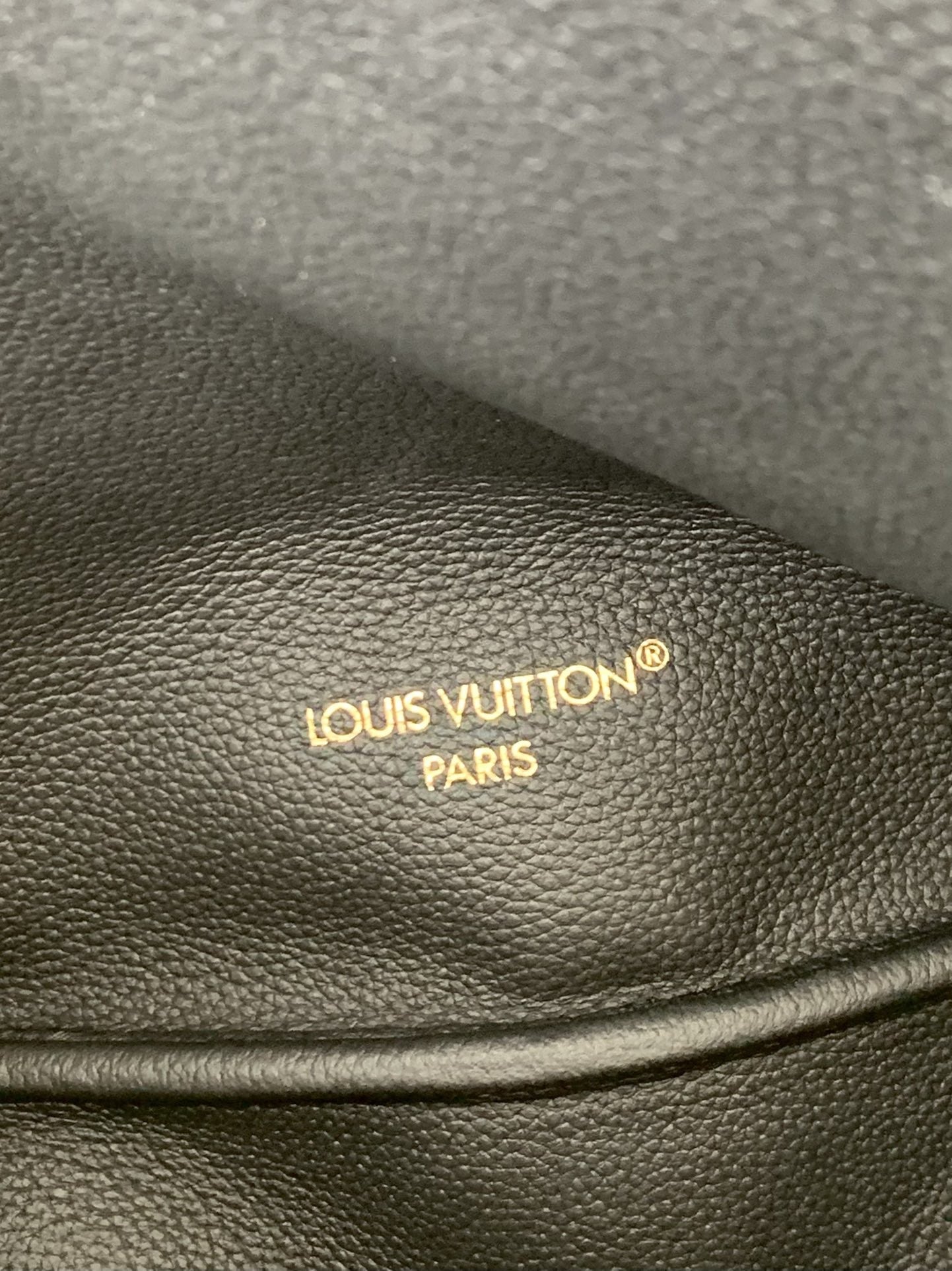 Neverfull Bag