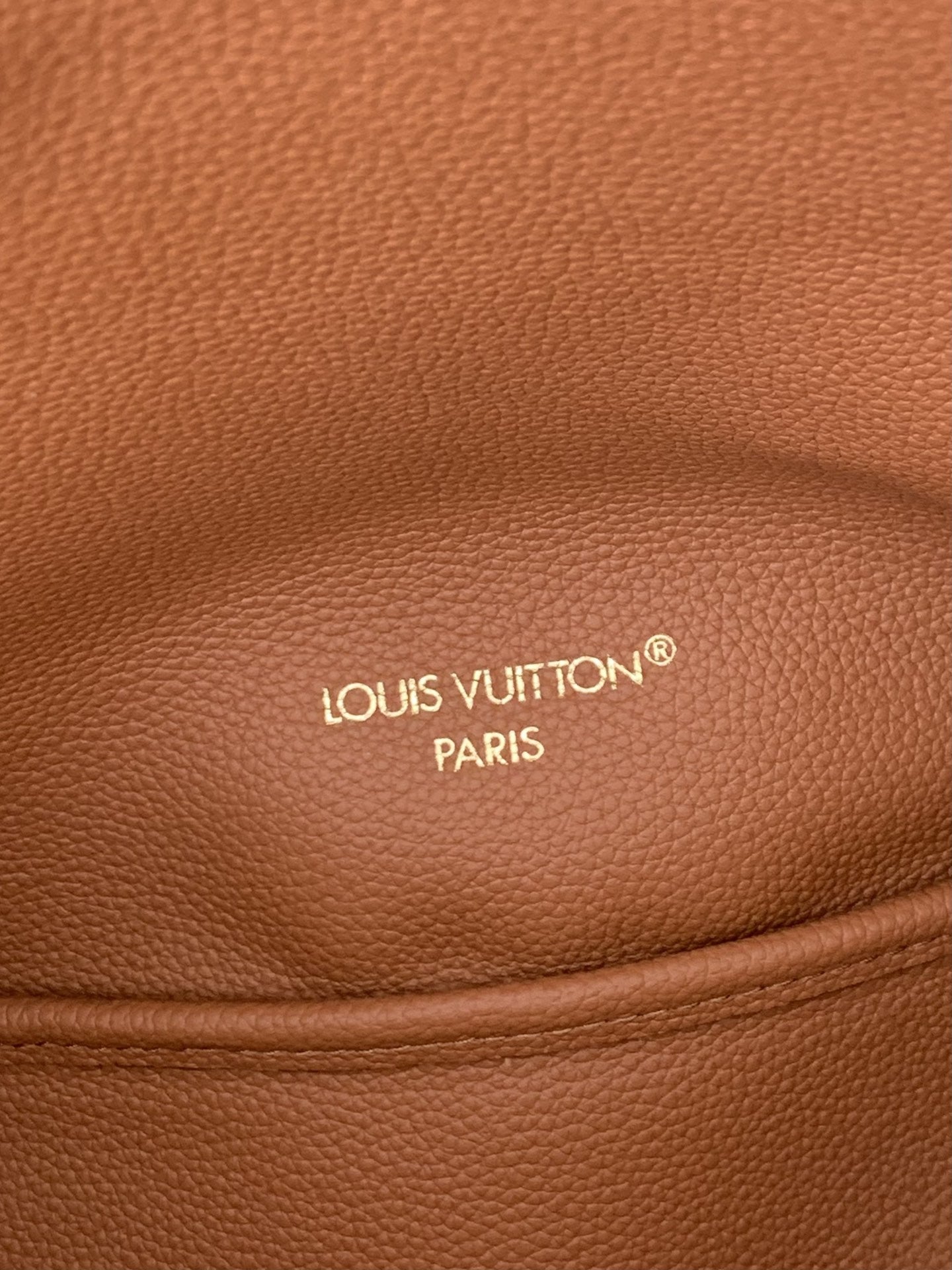 Mini Neverfull Bag