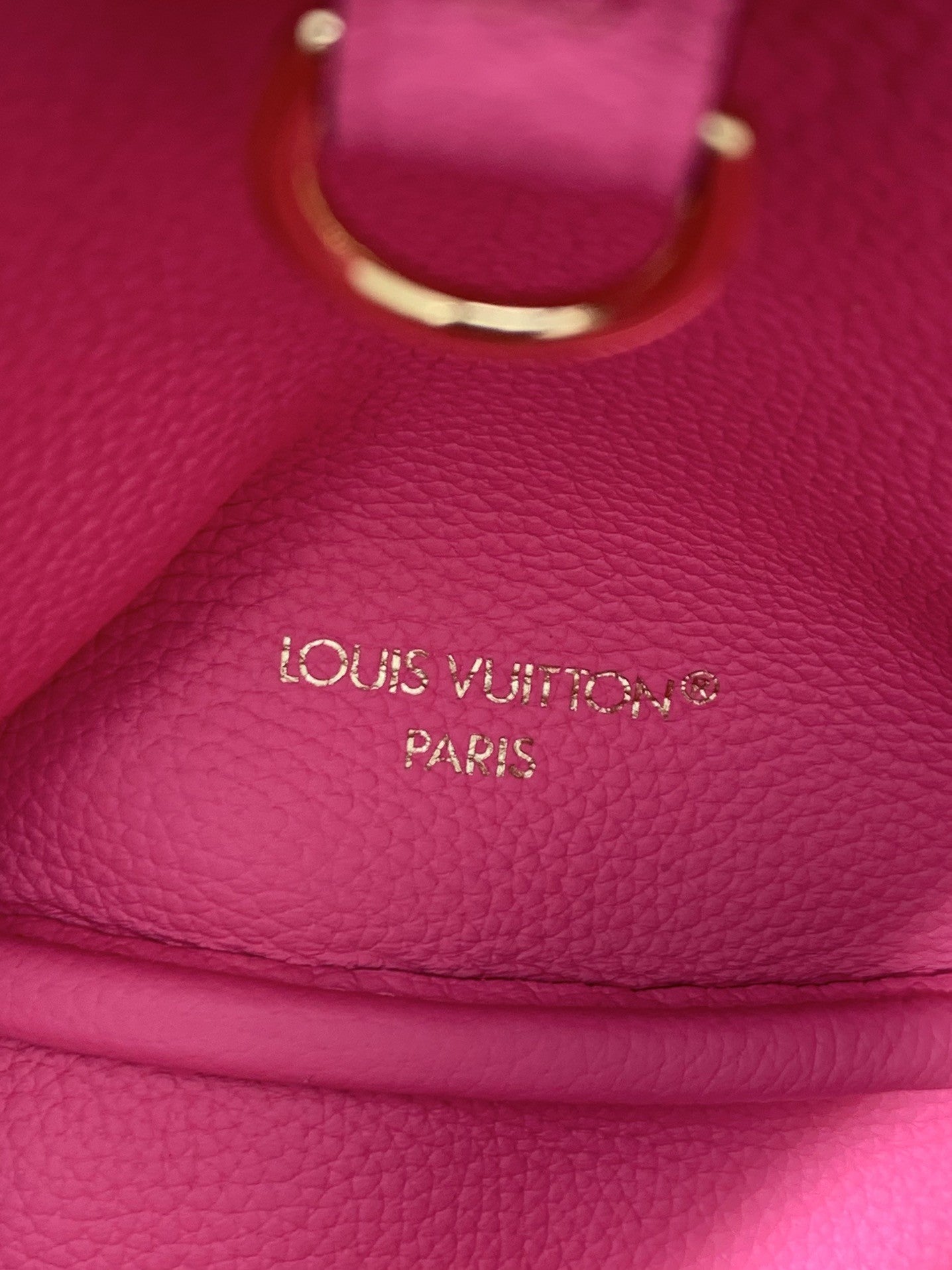 Mini Neverfull Bag