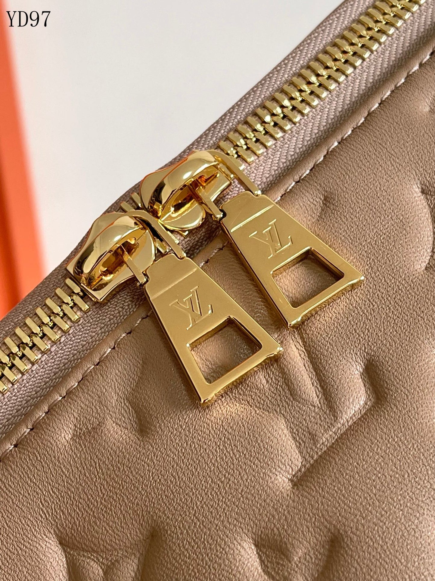 Coussin Hobo MM Bag
