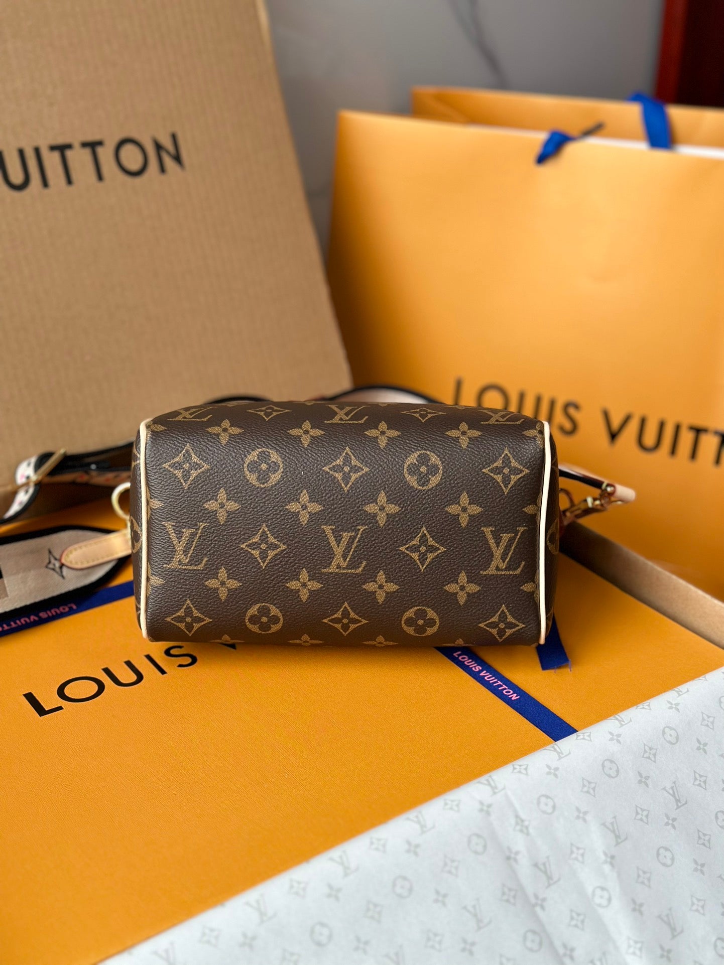Speedy Bandoulière 20 Monogram Canvas