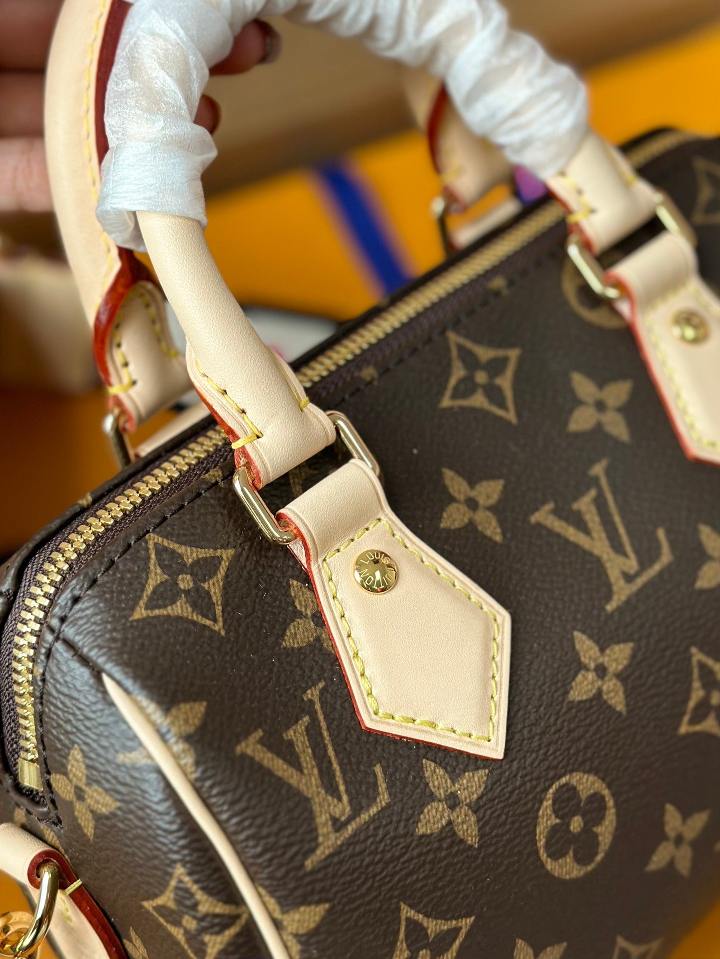 Speedy Bandoulière 20 Monogram Canvas