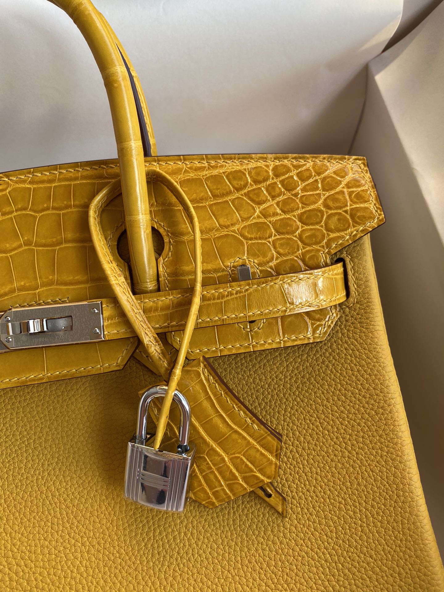 Birkin 25 Togo Leather & Crocodile Leather Bag