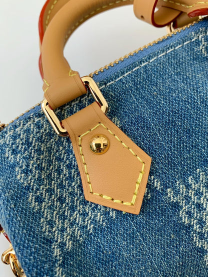 Mini Denim Damier Speedy Bag
