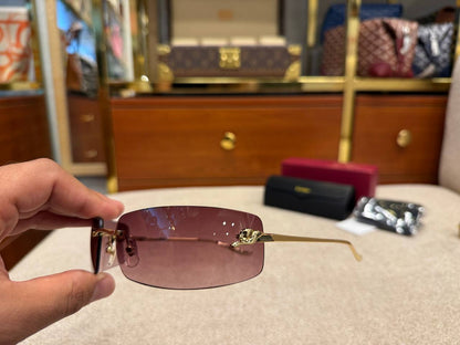 Eyewear Sunglasses