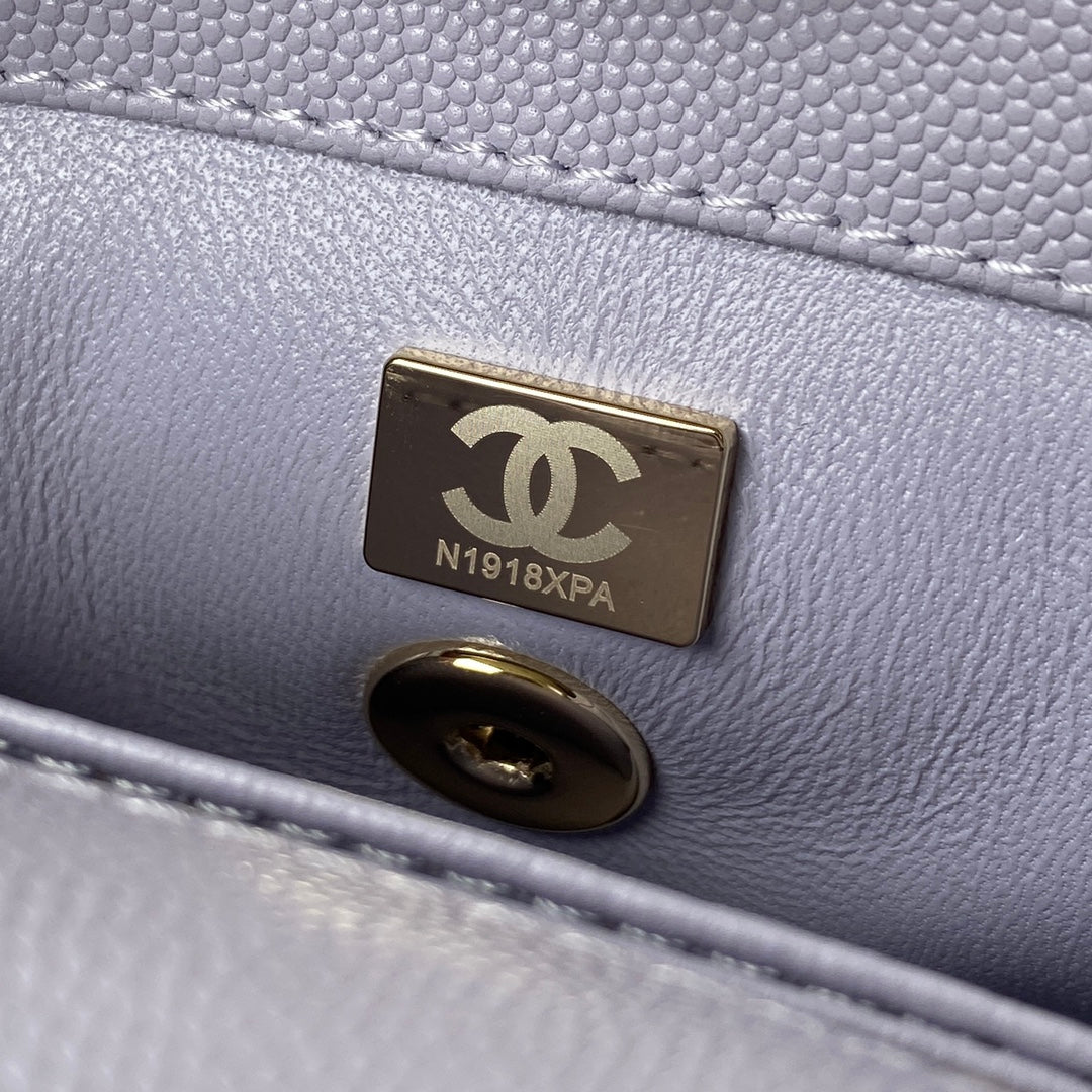 Coco Handle Mini Bag