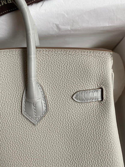 Birkin 25 Togo Leather & Crocodile Leather Bag