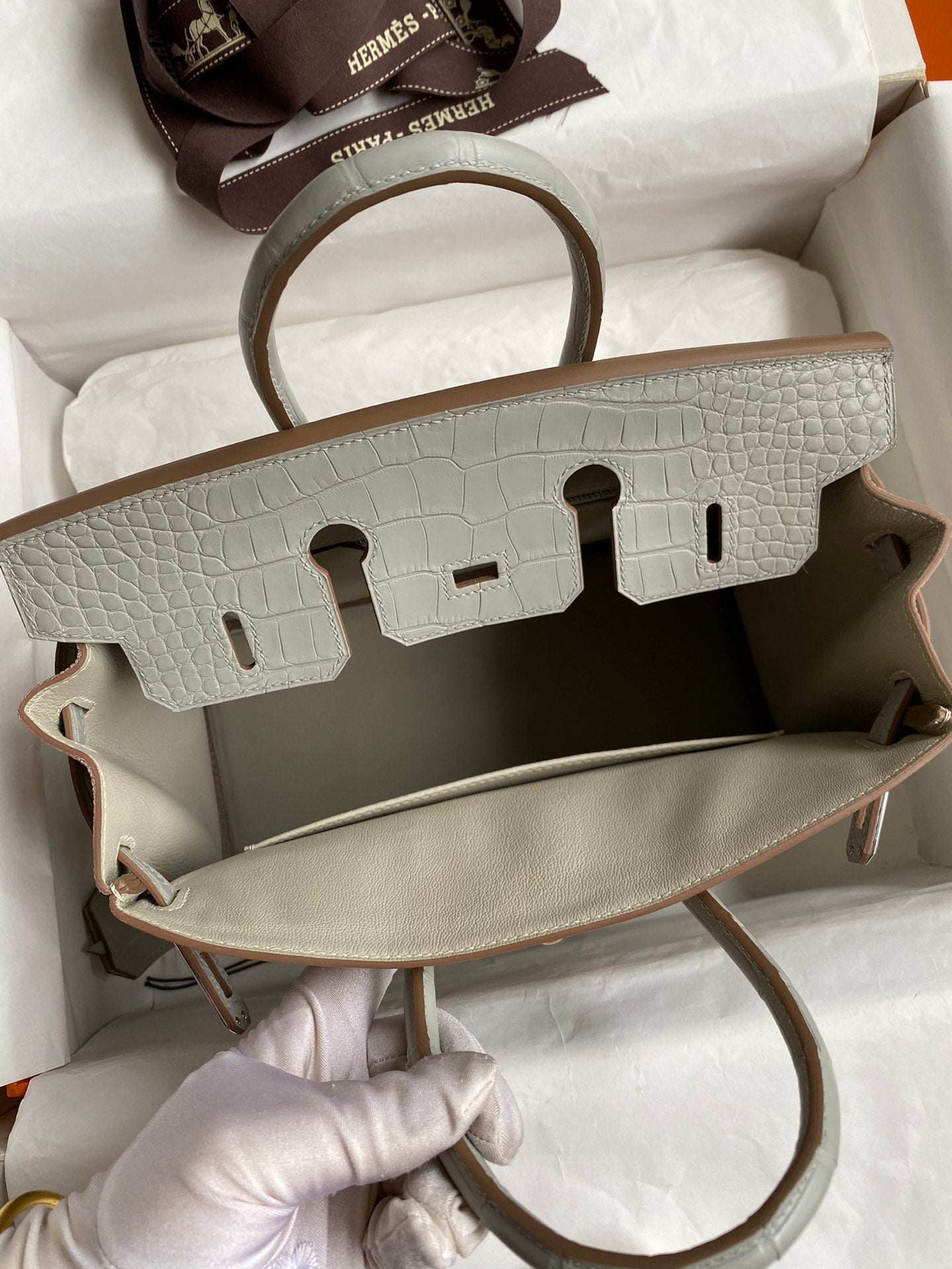 Birkin 25 Togo Leather & Crocodile Leather Bag