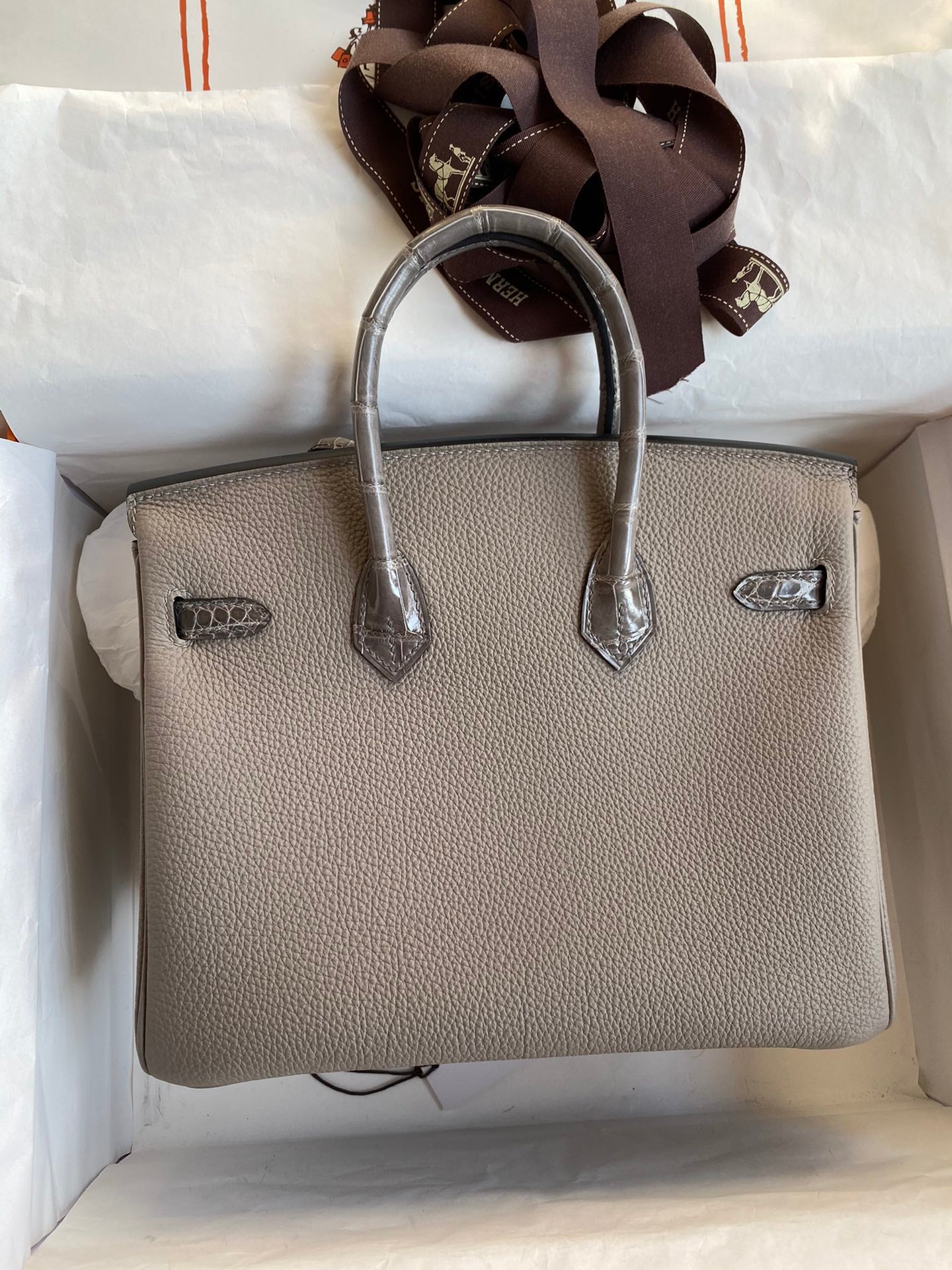 Birkin 25 Togo Leather & Crocodile Leather Bag