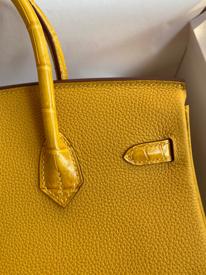 Birkin 25 Togo Leather & Crocodile Leather Bag