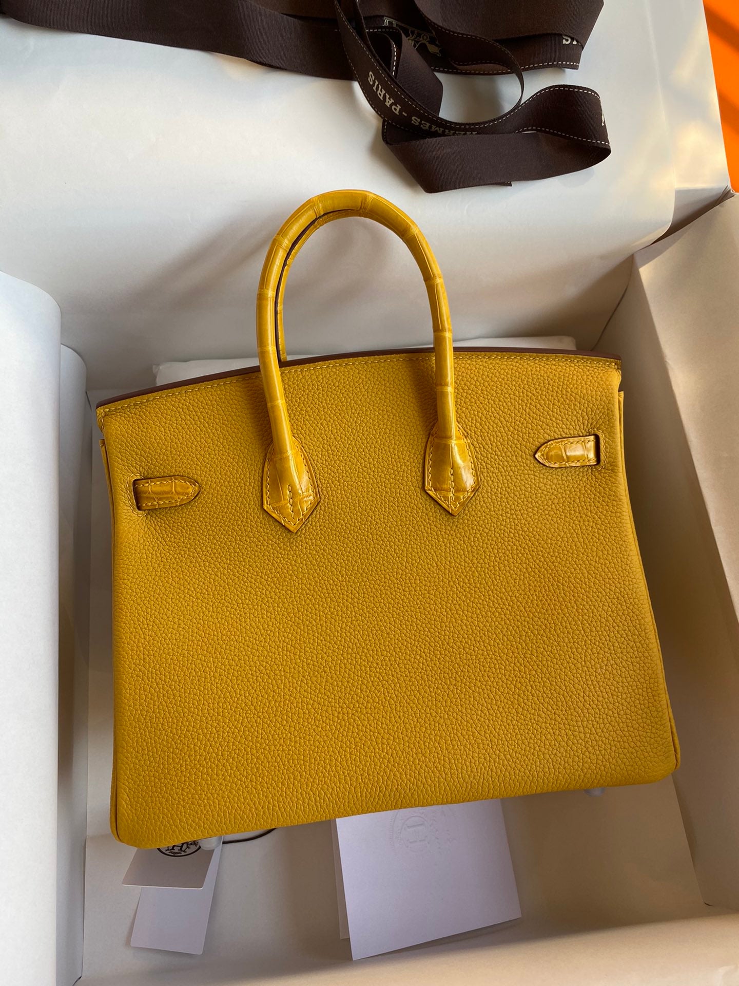 Birkin 25 Togo Leather & Crocodile Leather Bag