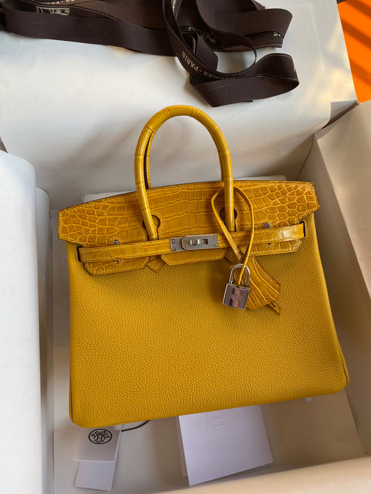 Birkin 25 Togo Leather & Crocodile Leather Bag