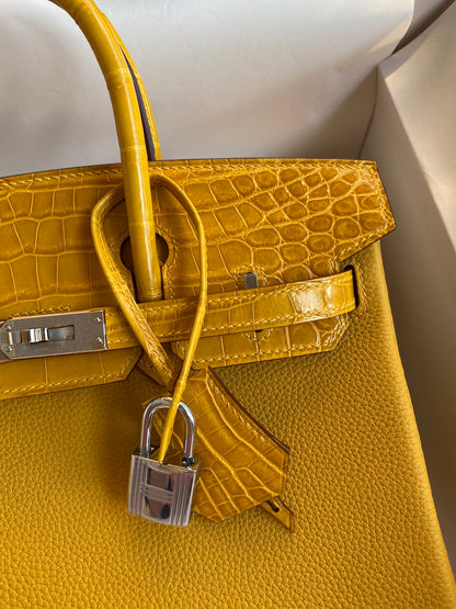 Birkin 25 Togo Leather & Crocodile Leather Bag