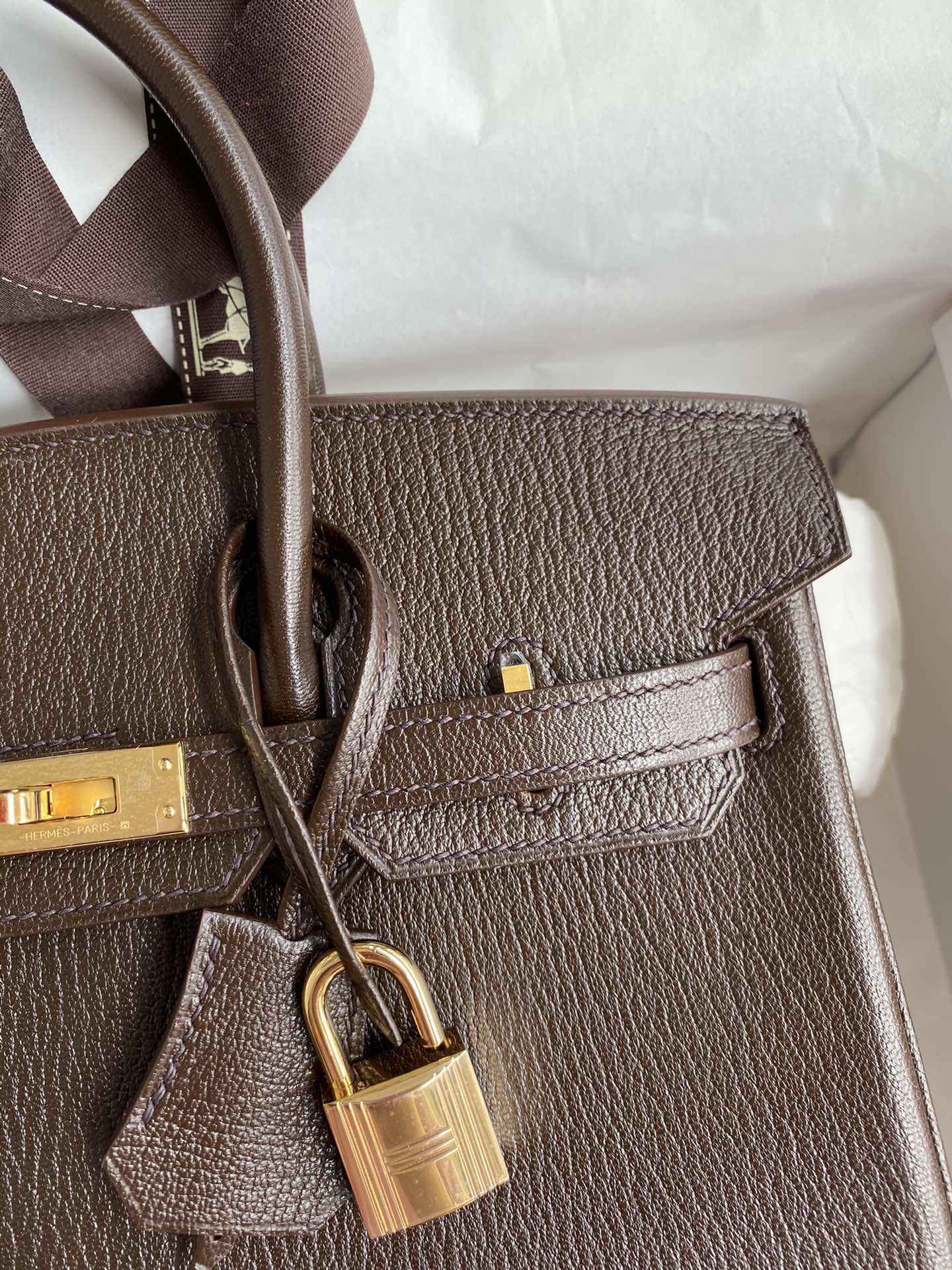 Birkin 25 Chevre (Goat Leather) Bag