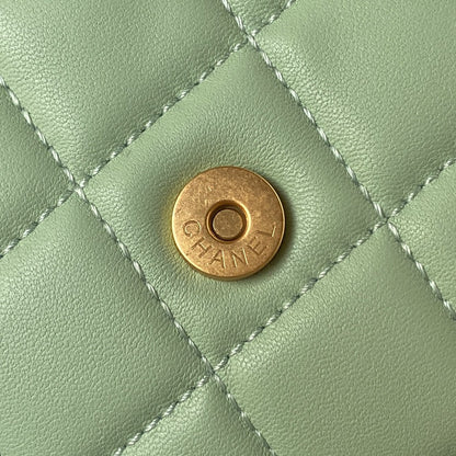 Mini Quilted Lambskin Shoulder Bag