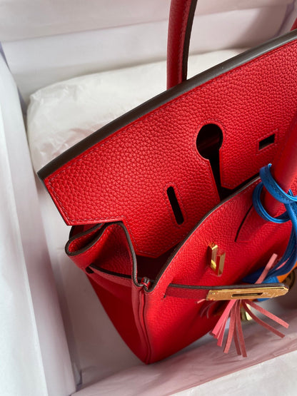 Birkin 30 Togo Leather